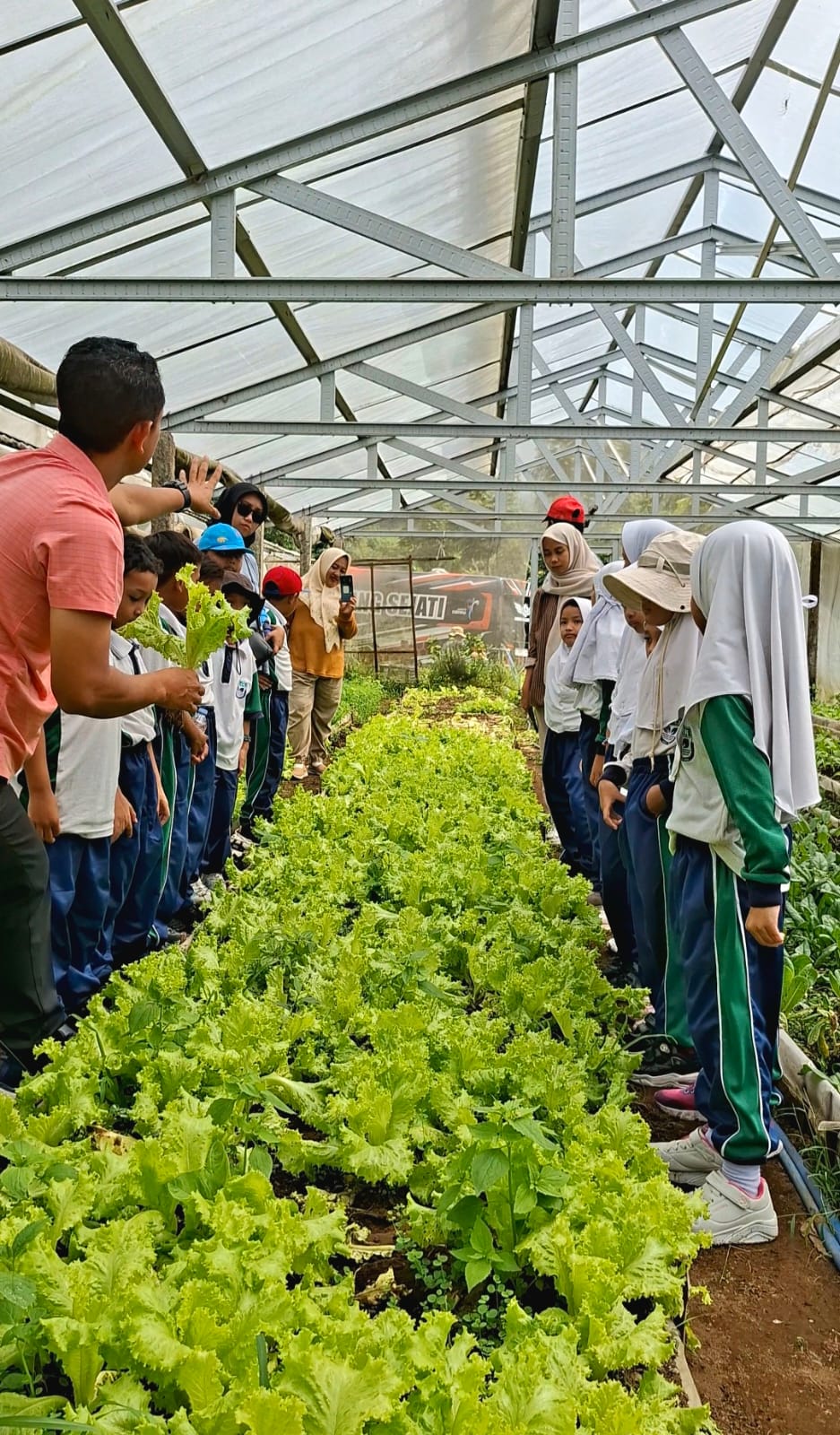 Keseruan Panen Pakcoy Bersama: Belajar Mandiri dan Cintai Alam di Area Eco Farming